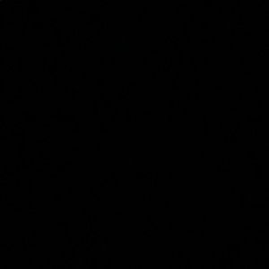 Meet your Posher, Lexi